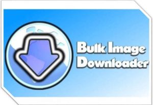 Bulk Image Downloader 6.12.0 Crack With Registration Code 2022
